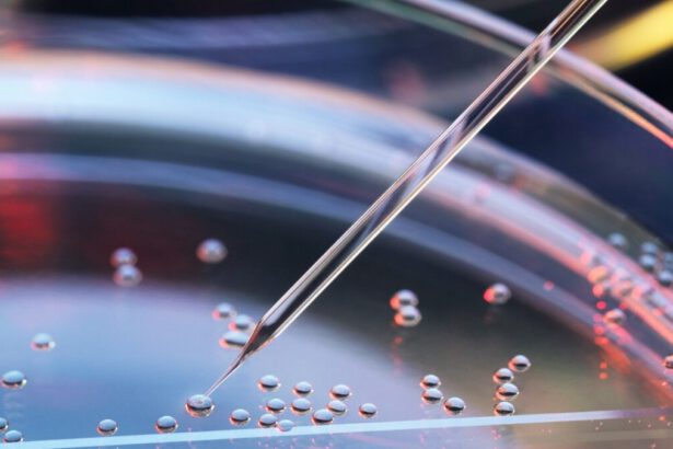 Un cerotto fatto di staminali contro l’insufficienza cardiaca 25