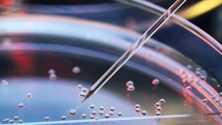 Un cerotto fatto di staminali contro l’insufficienza cardiaca 1