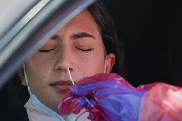 Covid, perché la sottovariante Centaurus preoccupa i virologi 19