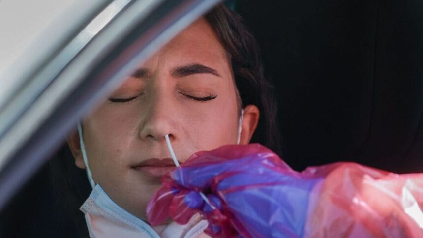 Covid, perché la sottovariante Centaurus preoccupa i virologi 1