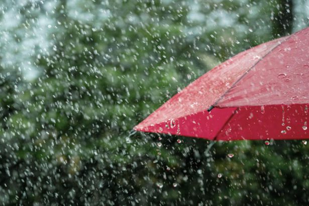 Ciclone di San Martino, in arrivo nuove piogge. Come cambierà il weekend? 9