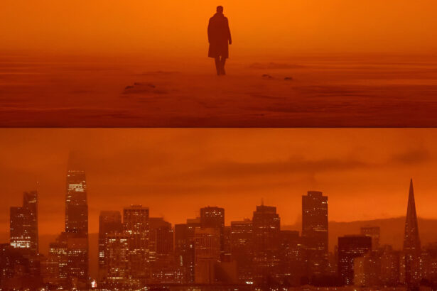 Cieli arancioni, apocalisse pop, quando il cambiamento climatico diventa protagonista al cinema e in TV 37
