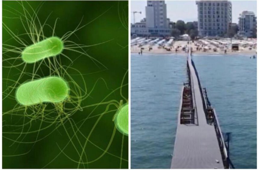 Escherichia Coli, stop alla balneazione in Riviera: cos'è, sintomi e rischi 2 Escherichia Coli, stop alla balneazione in Riviera: cos'è, sintomi e rischi 1