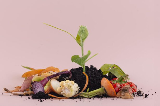 Benefici del compostaggio: perché dovresti iniziare oggi 21