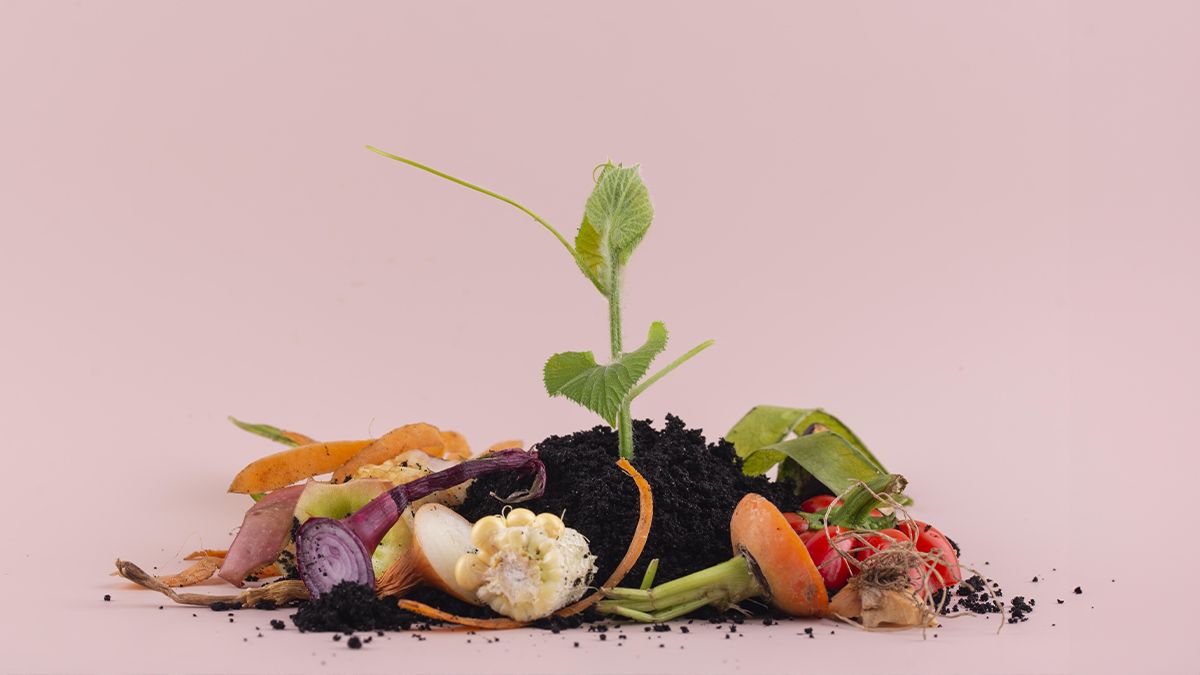 Benefici del compostaggio: perché dovresti iniziare oggi 23