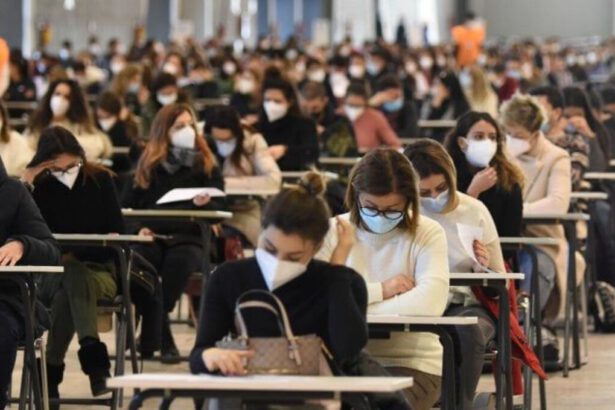 Concorso docenti flop, l’appello di 50 intellettuali: "Il Miur riconosca gli errori commessi" 10