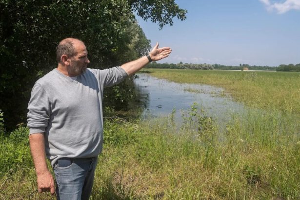 Agricoltori deviano corso dell'acqua: “Sommergendo i nostri campi abbiamo salvato Ravenna” 10