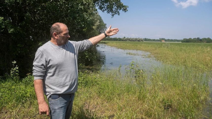 Agricoltori deviano corso dell'acqua: “Sommergendo i nostri campi abbiamo salvato Ravenna” 1