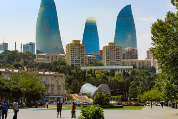 COP29: "Anche i Paesi in via di sviluppo dovranno contrastare il cambiamento climatico" 21