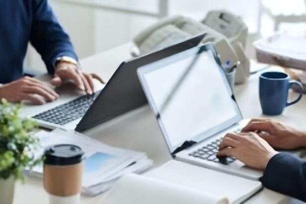 Partita IVA forfettaria, paga solo il 5% di tasse chi apre un'attività nel 2025 17