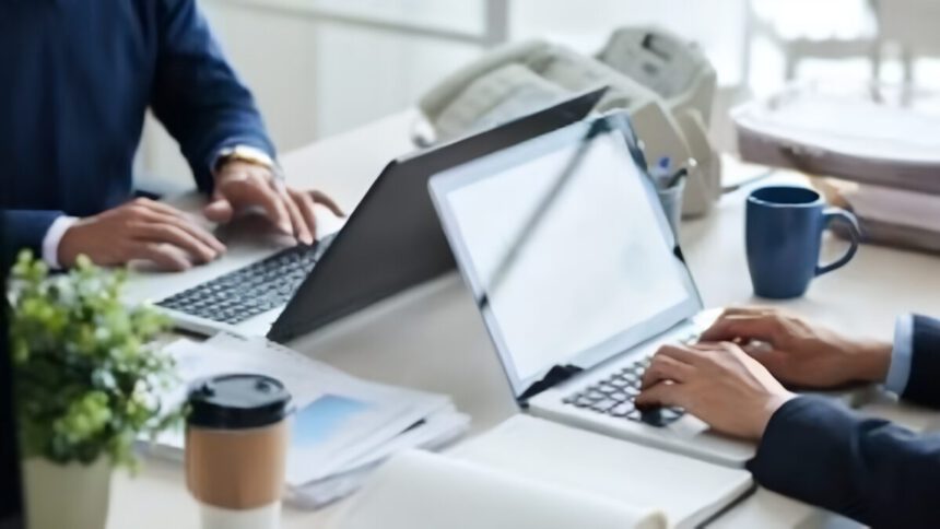 Partita IVA forfettaria, paga solo il 5% di tasse chi apre un'attività nel 2025 1