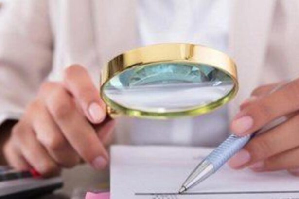 Bonus Natale, pensioni e tredicesima: tutti gli importi e le novità di dicembre 14