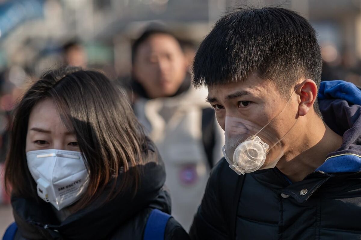 Covid, a Malpensa tampone per chi arriva dalla Cina: "Rischio variante cattiva" 15