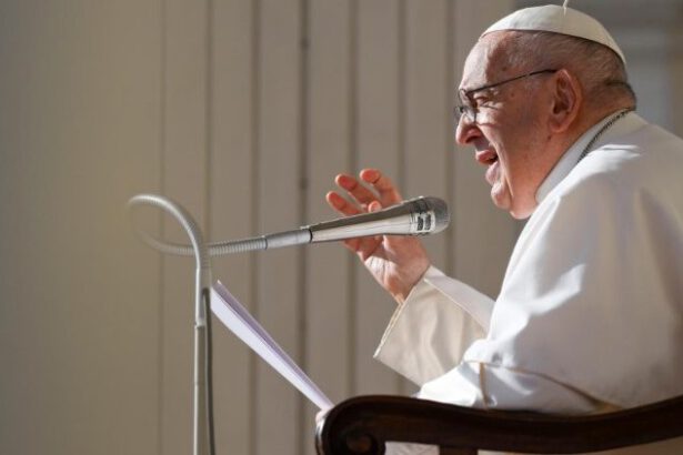 Sinodo, Papa Francesco: “Matrimonio solo tra uomo e donna, per lgbt sì a nuove forme di benedizione” 16