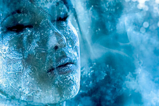 Crioconservazione, c'è chi è disposto a pagare 200.000 euro per farsi congelare post-mortem 6