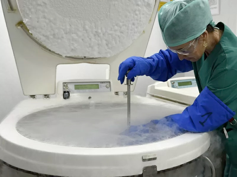 Crioconservazione, c'è chi è disposto a pagare 200.000 euro per farsi congelare post-mortem 4 Crioconservazione, c'è chi è disposto a pagare 200.000 euro per farsi congelare post-mortem 3