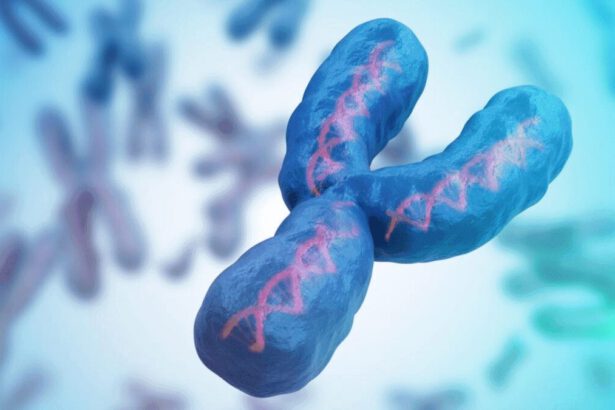 Addio al cromosoma Y: si verificherà l'estinzione maschile? 15