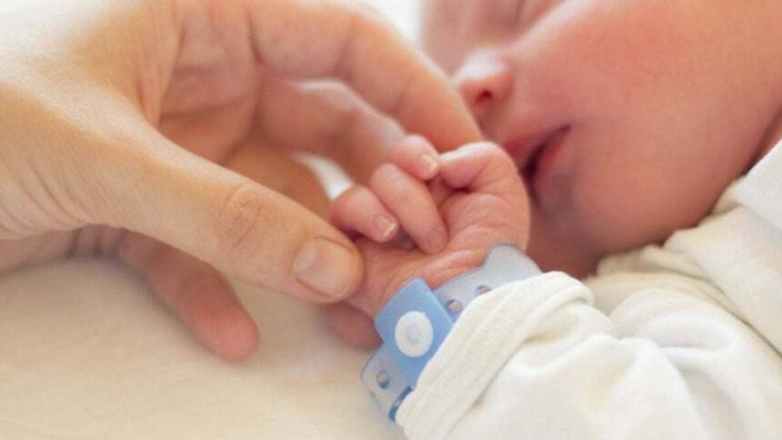 Cos’è la culla per la vita dove è stato lasciato a Pasqua il neonato Enea 1