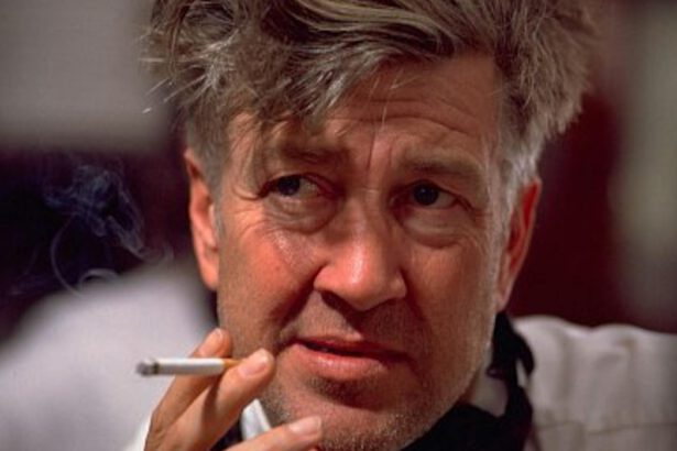 Riusciremo mai a vedere le opere incompiute nate dal genio di David Lynch? 19