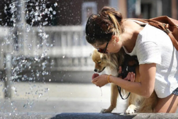 Arriva Caronte: caldo record per oltre 10 giorni e bollino rosso in 5 città 3