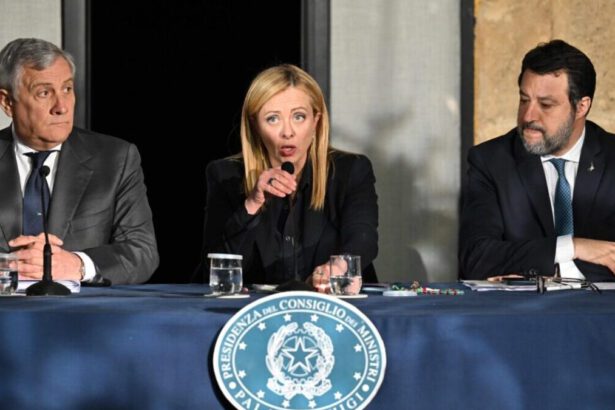 Decreto migranti: cosa cambia su pene, rinnovo dei permessi e rimpatri 14