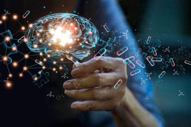 Avere una vita sociale rallenta la demenza: “Reti neurali rafforzate” 15