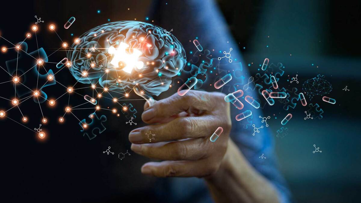 Avere una vita sociale rallenta la demenza: “Reti neurali rafforzate” 14