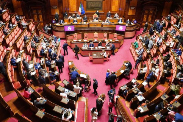 La democrazia italiana ha il 7 in condotta 13