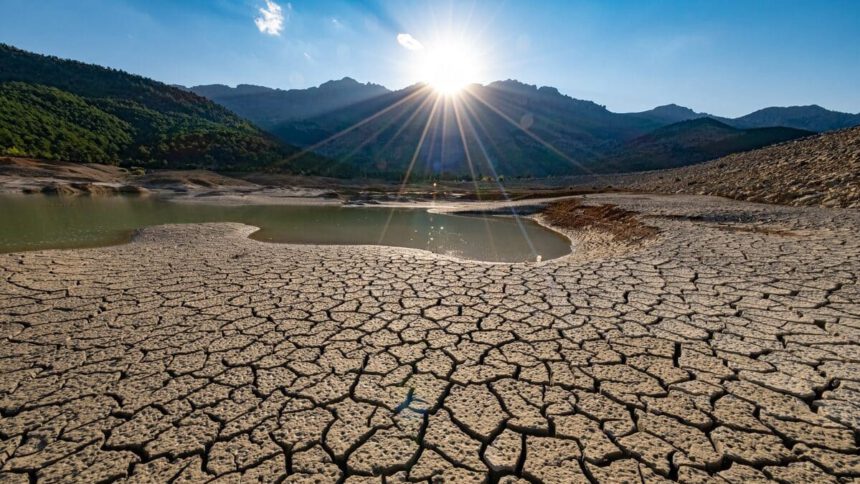 Desertificazione e rischio siccità: preoccupa 8 italiani su 10 1