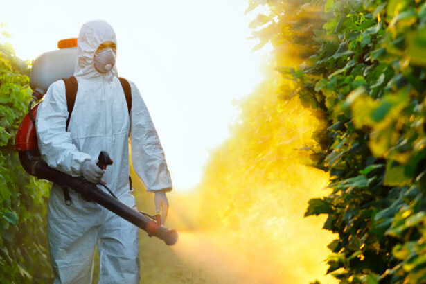 Disinfestazione, perché agire nel periodo estivo? 35