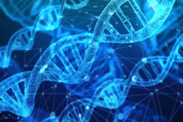 Completata la mappa del cromosoma Y: "Identificate in anticipo alcune malattie, anche la sterilità" 11