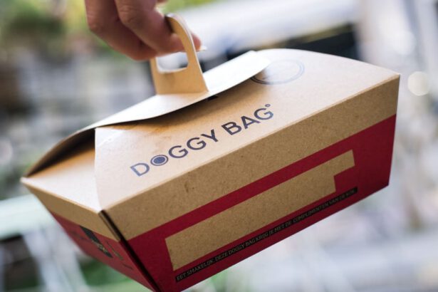 Cos’è la doggy bag, proposta di legge contro lo spreco alimentare nei ristoranti 10