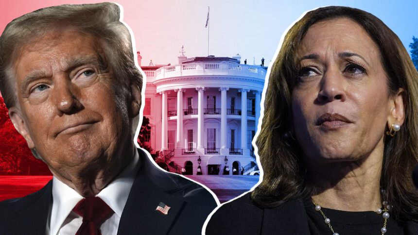 Donald Trump vs Kamala Harris: chi vincerà secondo gli ultimi sondaggi prima del voto 1