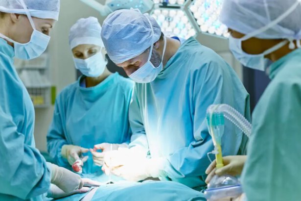 Doppio trapianto record salva 56enne: "Mi restava solo un giorno e mezzo di vita e invece sono qui" 14