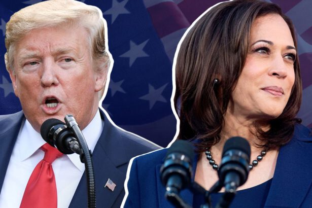 Duello Trump-Harris, chi vincerà secondo gli elettori? 6