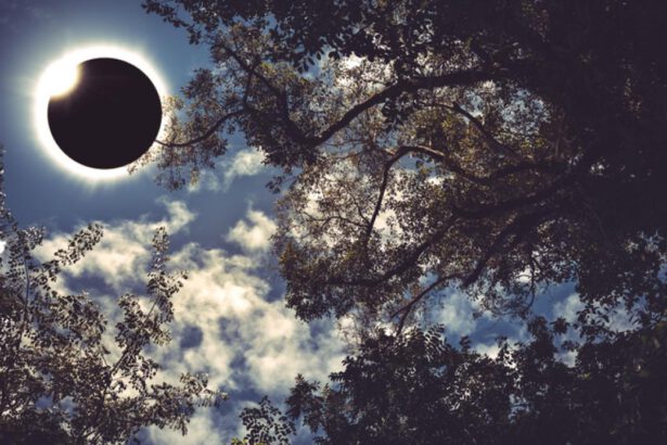 Eclissi solare del 25 ottobre: come e quando vederla 5