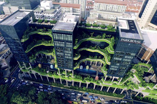 Ecosistemi urbani: "La natura come modello per le città" 33