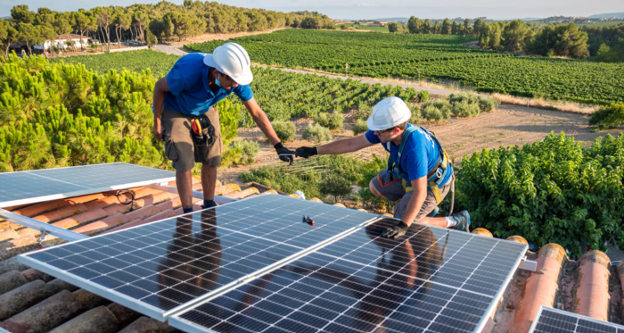 7 idee per una casa eco-friendly senza spendere una fortuna 5