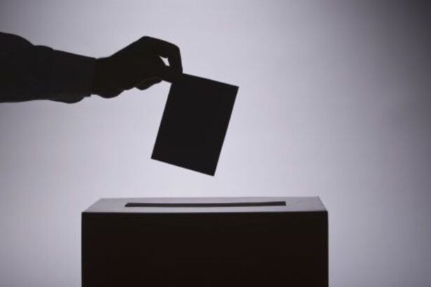 Rosatellum, 3 cose da sapere per votare il 25 settembre 14