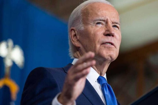 Elezioni USA midtern 2022: cosa succede se Biden perde 17