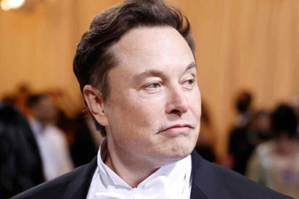 Twitter: è ufficiale l’arrivo al vertice di Elon Musk 11