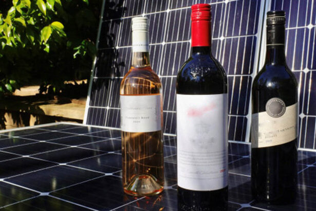 Vino e sole, il brindisi perfetto tra enologia e fotovoltaico 9