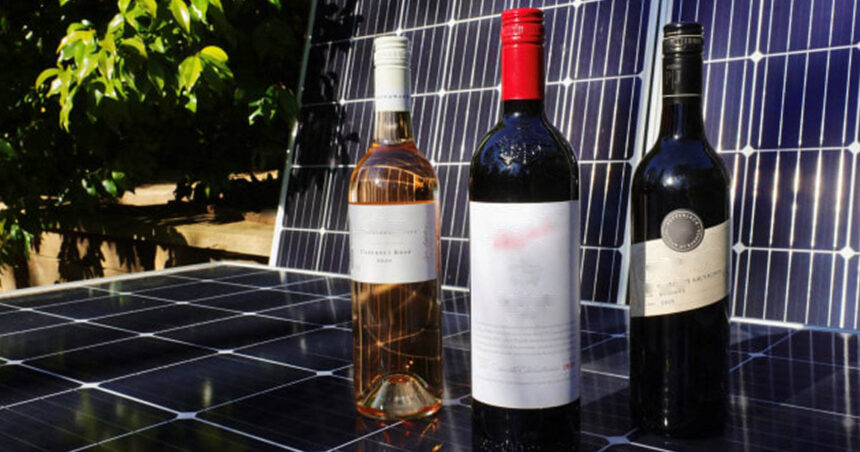 Vino e sole, il brindisi perfetto tra enologia e fotovoltaico 1