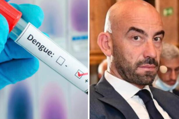Epidemia Dengue in Argentina, 41mila casi e 39 morti. Bassetti: "Si sta diffondendo in Europa" 13