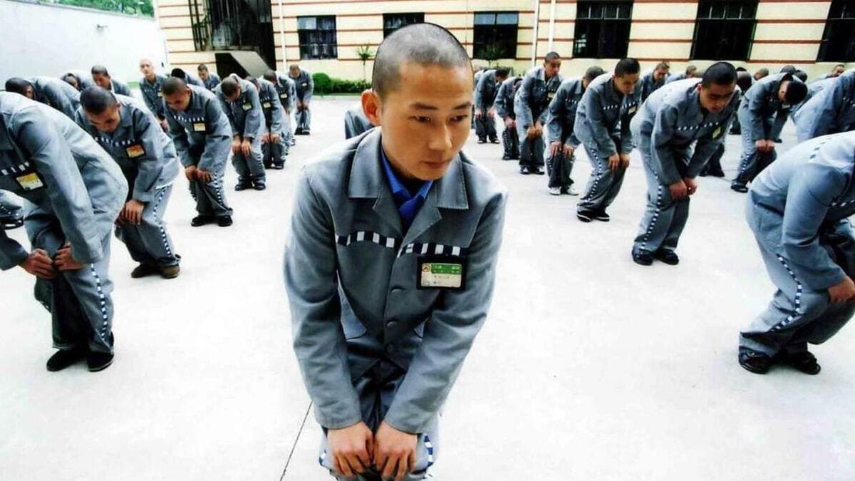Espianto di organi su detenuti vivi: l'orrore dei medici cinesi 19
