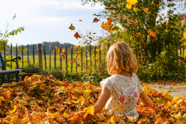 Estate di San Martino: quando comincia e perché si chiama così 15