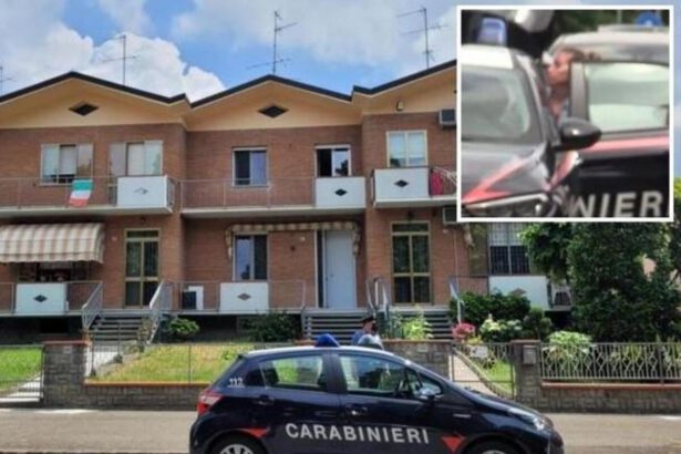 Modena, estubato il bimbo, parla la colf: "La baby sitter? Brava ragazza, mai visto nulla di strano" 6