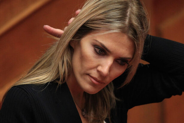 Chi è Eva Kaili, ex vicepresidente del Parlamento europeo: "Buste piene di contanti" 5