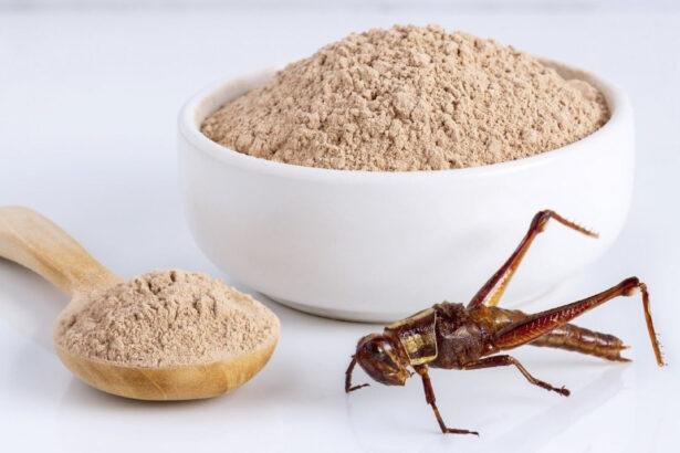 Farina di grillo: perché scegliere il tanto criticato prodotto a base di insetti? 12