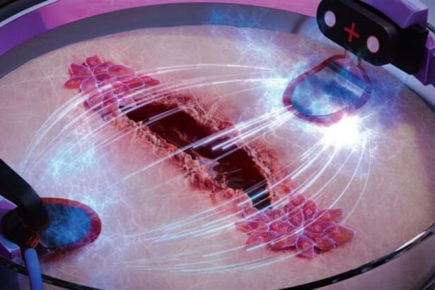 Svolta nella medicina: “L’elettricità guarisce le ferite” 13